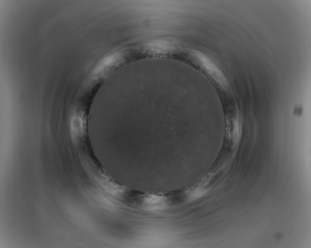 X0000096700718200802051411