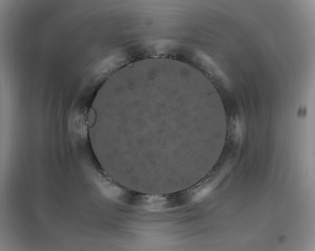 X0000096700719200802051411
