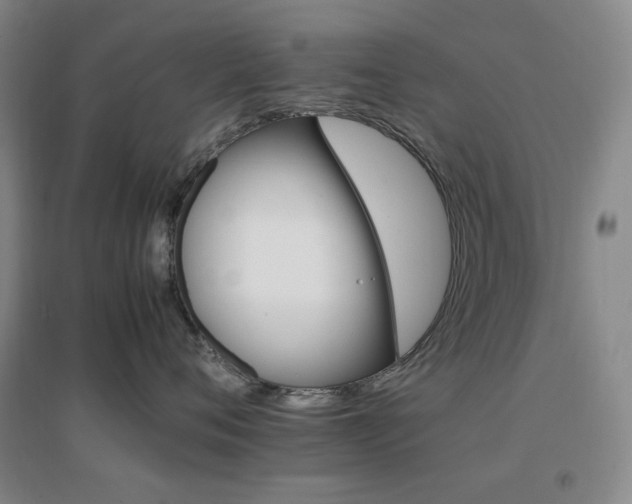 X0000096700720200802051411