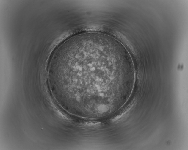 X0000096700721200802051410