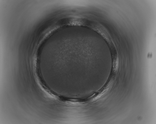 X0000096700722200802051410