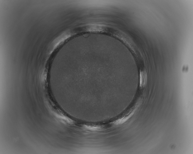 X0000096700723200802051410