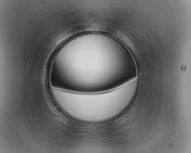 X0000096700724200802051410