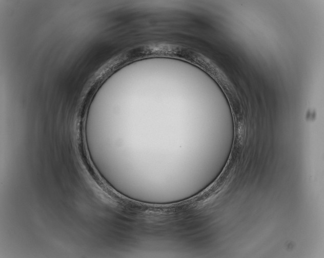 X0000096700725200802051410