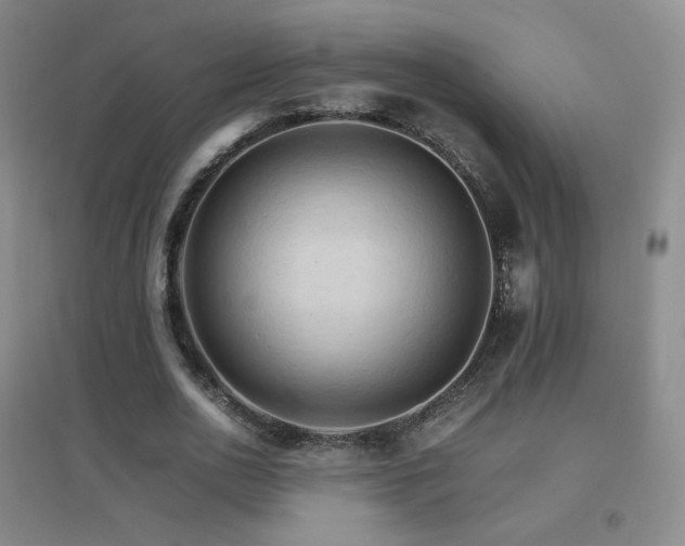 X0000096700726200802051410