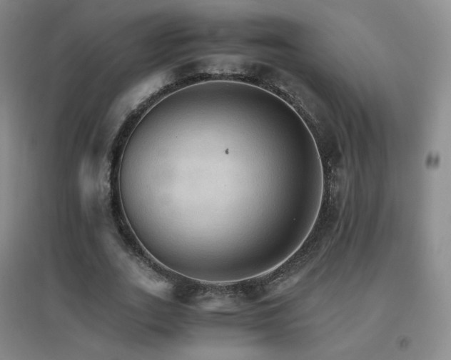 X0000096700727200802051410