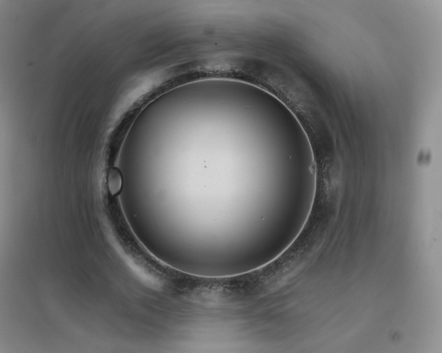 X0000096700728200802051410
