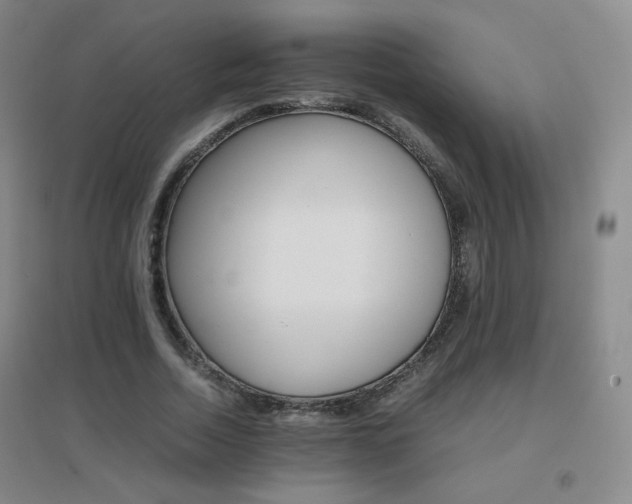 X0000096700730200802051410