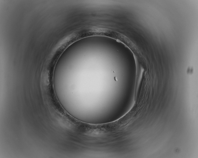 X0000096700731200802051410