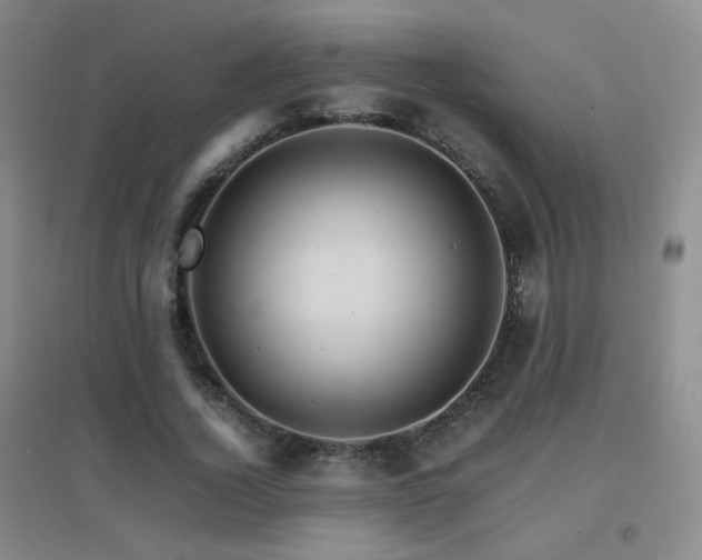 X0000096700732200802051410