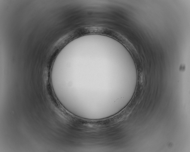 X0000096700733200802051410