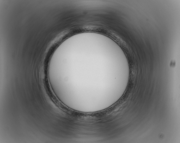 X0000096700734200802051410