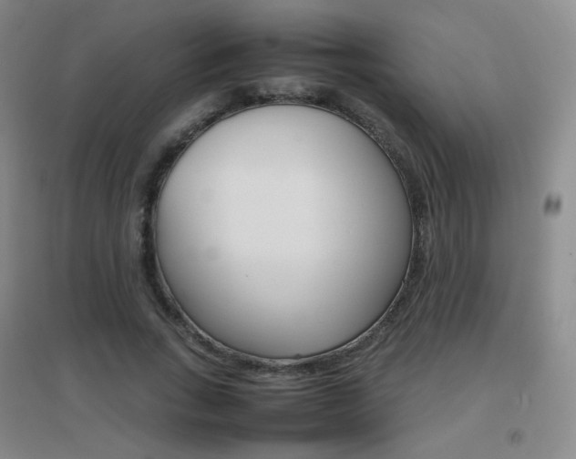 X0000096700735200802051410