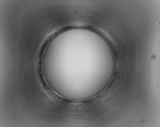 X0000096700736200802051410