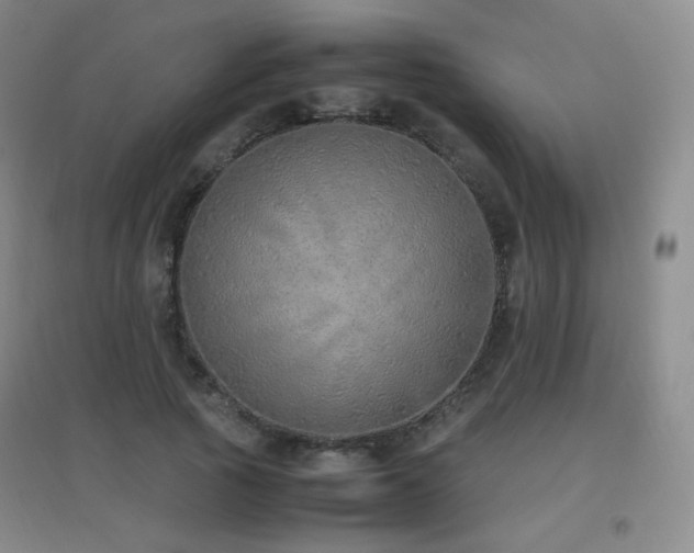 X0000096700737200802051410