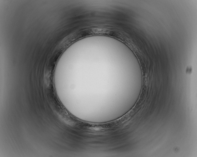 X0000096700741200802051410