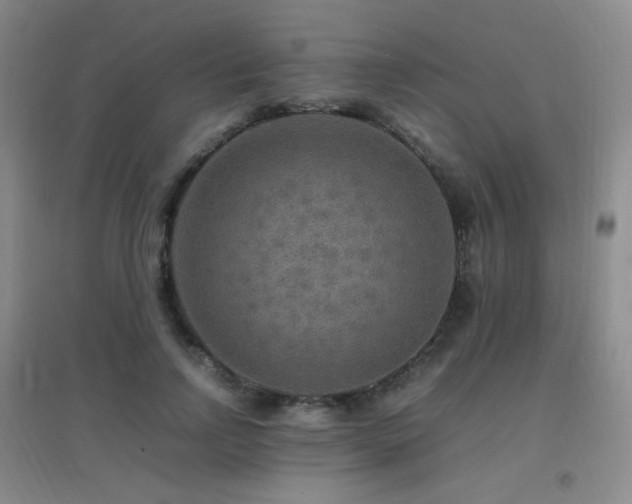 X0000096700742200802051410