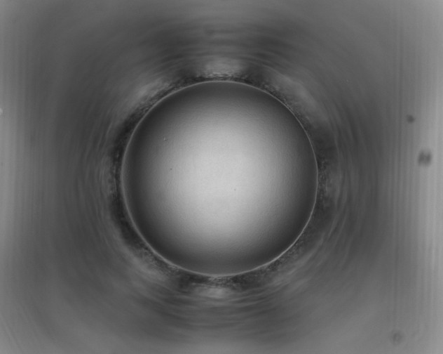 X0000096700743200802051410