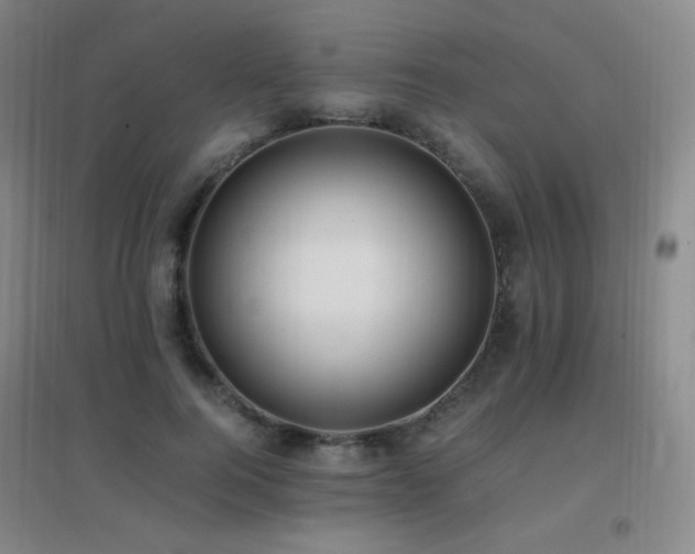 X0000096700744200802051410