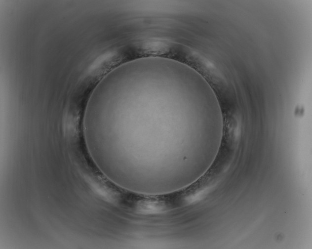 X0000096700745200802051410