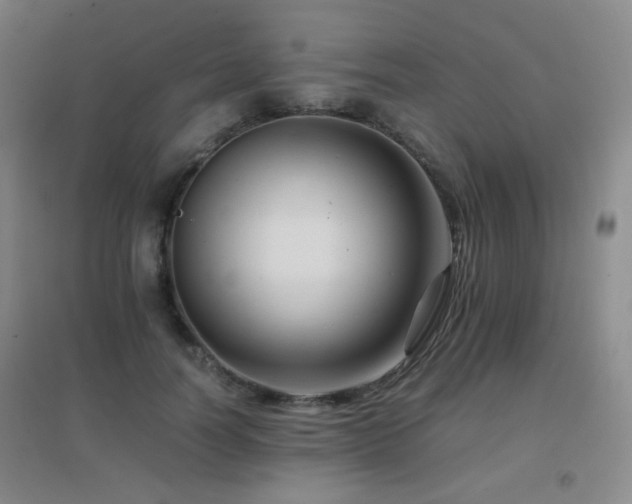 X0000096700746200802051410