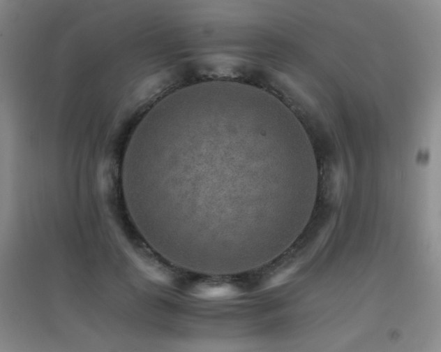 X0000096700747200802051410