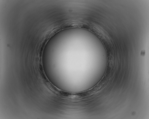 X0000096700748200802051410