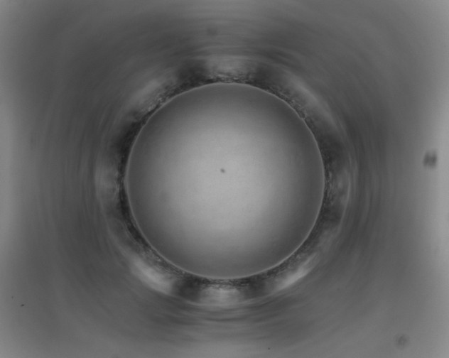 X0000096700749200802051410