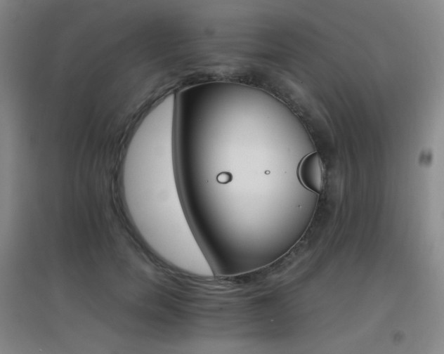 X0000096700750200802051410