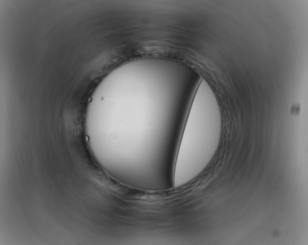 X0000096700751200802051410