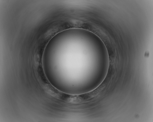 X0000096700752200802051410