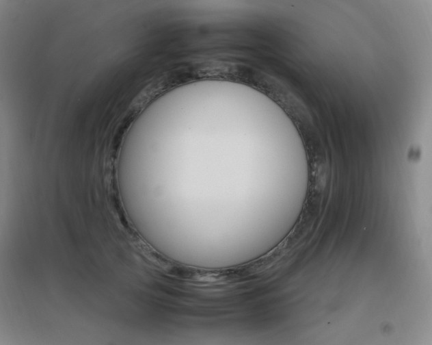 X0000096700753200802051410
