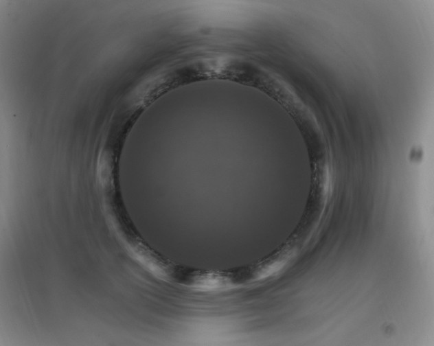 X0000096700754200802051410