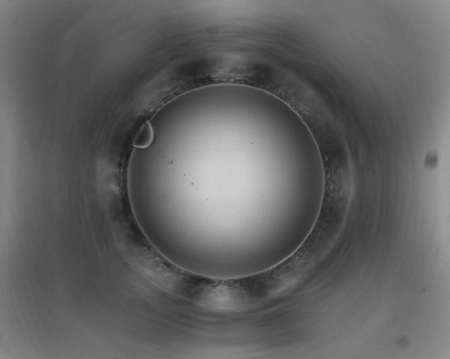 X0000096700755200802051410