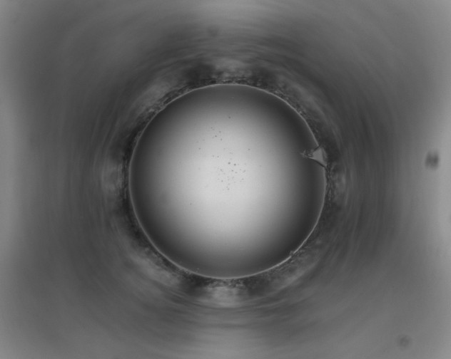 X0000096700756200802051410
