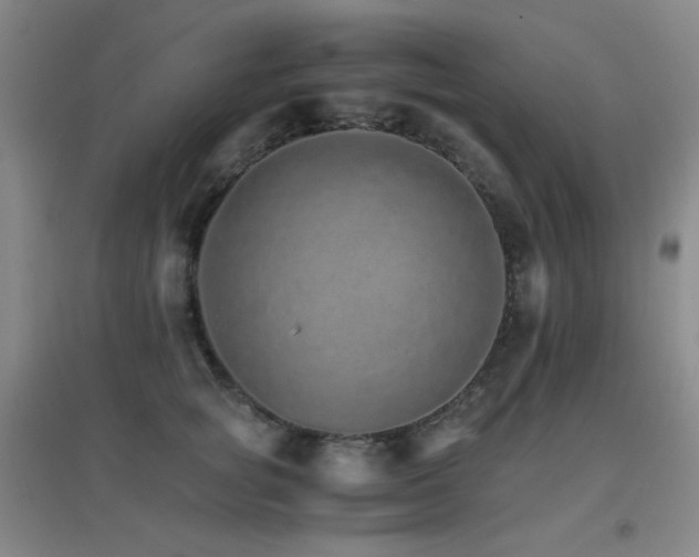 X0000096700757200802051410