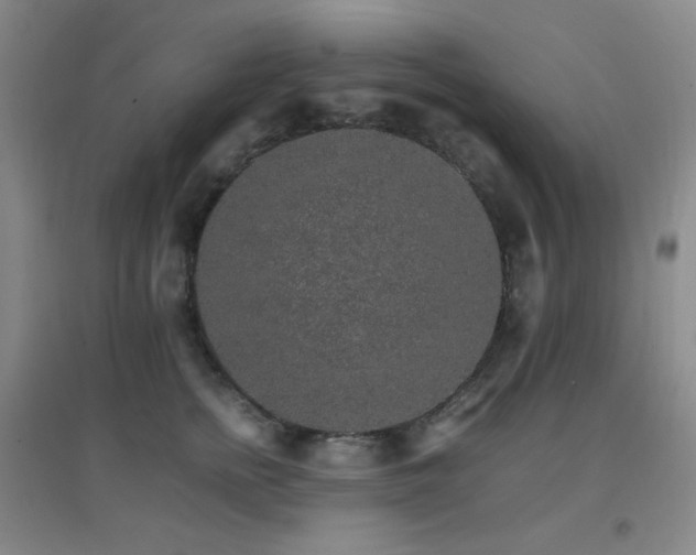 X0000096700758200802051410