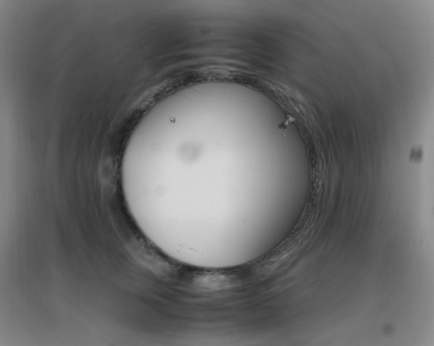 X0000096700759200802051410