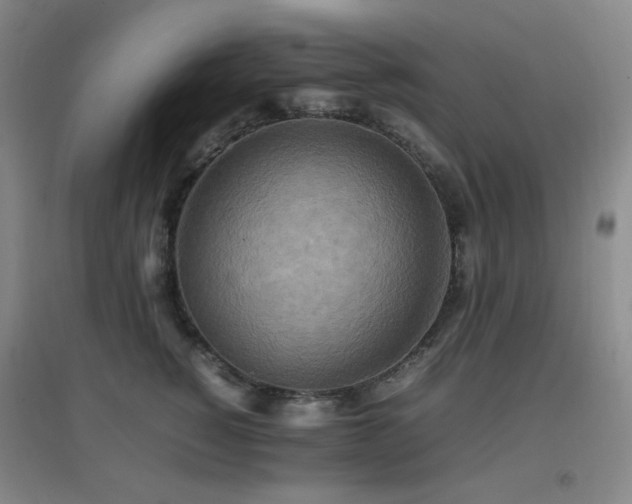X0000096700760200802051410