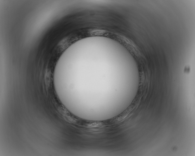 X0000096700761200802051410