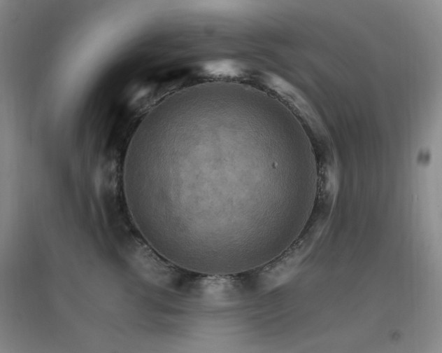 X0000096700762200802051410