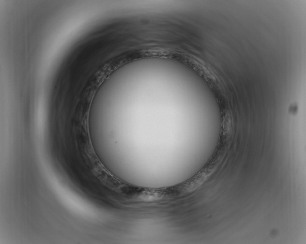 X0000096700764200802051411