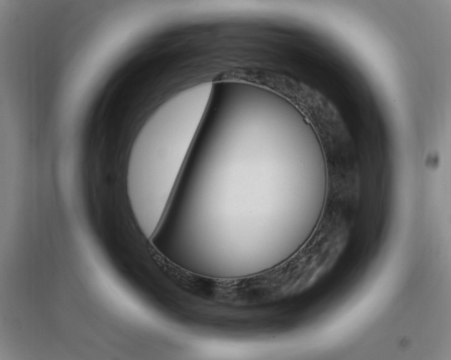 X0000096700766200802051411