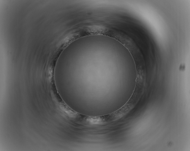 X0000096700767200802051411