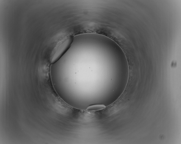 X0000096700768200802051411