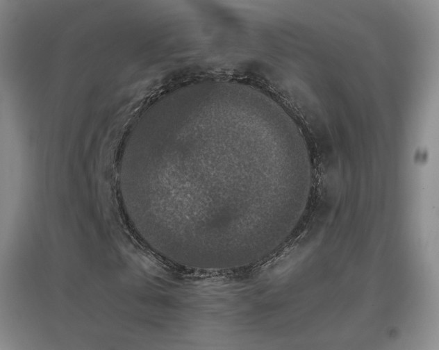 X0000096700769200802051410