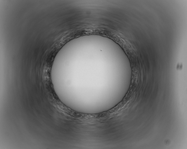 X0000096700770200802051410