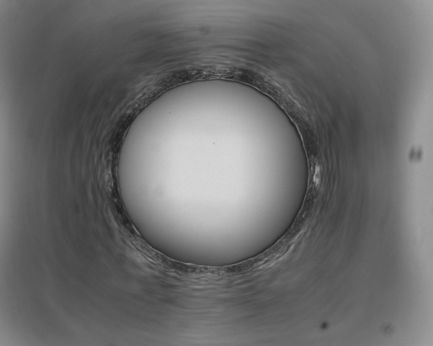 X0000096700771200802051410