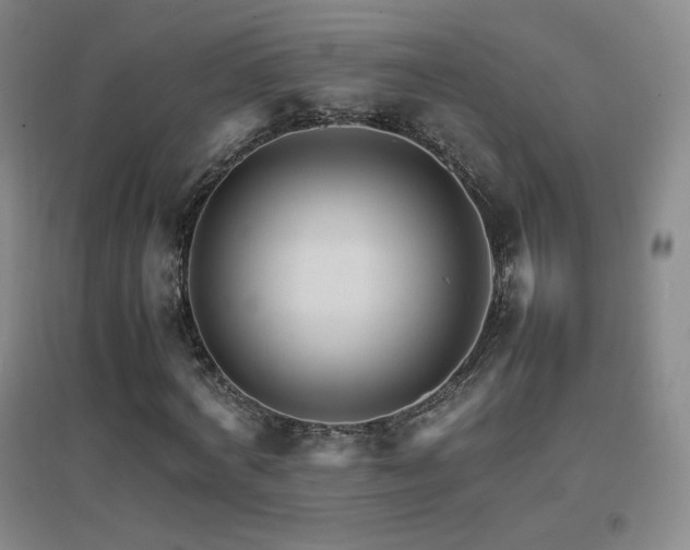 X0000096700772200802051410