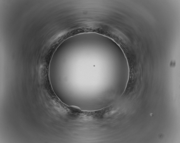 X0000096700773200802051410